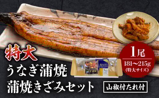 [2025年8月発送予定]国産うなぎ蒲焼(特大サイズ)・蒲焼きざみセット_M069-017_01-aug