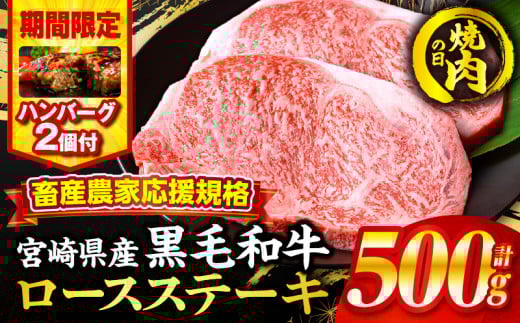 [焼肉の日(8月29日)までにお届け][期間・数量限定]畜産農家応援!宮崎県産黒毛和牛ロースステーキ250g×2・国産牛ハンバーグ100g×2個_M132-091-B2-NK