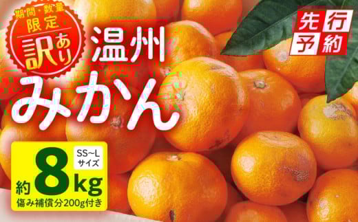 《2025年発送先行予約》【期間・数量限定】《訳あり》温州みかん8kg(傷み補償分200g付き)_M249-003-03