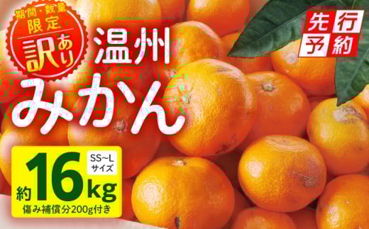 《2025年発送先行予約》【期間・数量限定】《訳あり》温州みかん16kg(傷み補償分200g付き)_M249-003-04