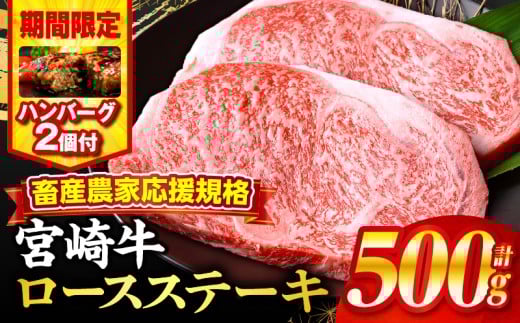[2025年11月発送][期間・数量限定]畜産農家応援!宮崎牛ロースステーキ250g×2・国産牛ハンバーグ100g×2個_M132-014-B2-nov