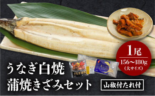《2025年11月発送予定》うなぎ白焼(大サイズ)・きざみセット_M069-021-nov