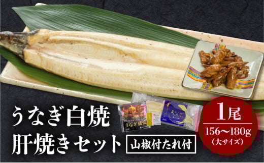 《2025年11月発送予定》うなぎ白焼(大サイズ)・肝焼きセット_M069-022-nov