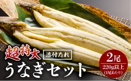 《2025年11月発送予定》うなぎ白焼(超特大サイズ) 2尾_M069-023-nov