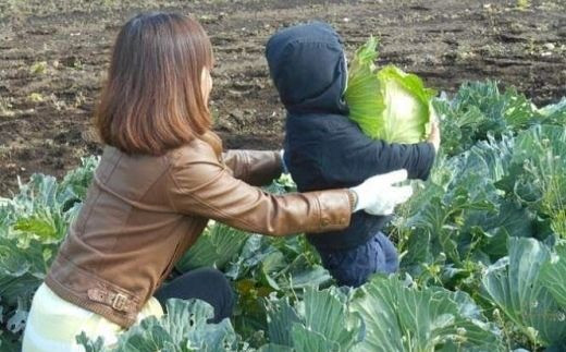 無農薬農家の農業体験 ランチ付き