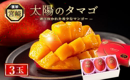 【先行予約/数量限定】 完熟マンゴー『太陽のタマゴ 』3玉 約1kg 宮崎県産 糖度 濃厚 甘い 果物 最高級フルーツ 贈答用 ギフト プレゼント 産地直送 期間限定 冷蔵 送料無料 ふるさと納税 お中元 綾町