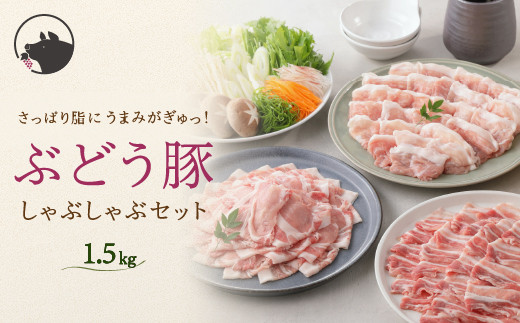 【希少】 宮崎県産 ブランド豚 「綾ぶどう豚」 しゃぶしゃぶセット 1.5kg (500g×3パック)  【モモ 豚バラ ロース 食べ比べ 国産 ブランド豚 豚肉 小分け 冷凍 冷しゃぶ 鍋 豚しゃぶ しゃぶしゃぶ肉 冷凍 和豚 ポーク 人気 おすすめ 送料無料 綾町】