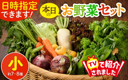 日時指定OK!本日のお野菜セット 〈小サイズ/約7-8種〉 産地直送 野菜詰め合わせ 有機栽培 野菜 野菜セット 野菜 【オーガニックのまち 宮崎県綾町】
