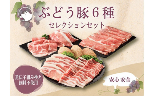 【希少】ブランド豚「綾ぶどう豚」 セレクション 6種セット 1.7kg 【宮崎県産 綾町産 ぶどう豚  豚肉 国産 銘柄豚 ポーク 豚ロース とんかつ 肩ロース 生姜焼き 豚バラ 焼肉 豚小間切れ 豚こま 豚もも スライス ハンバーグ しゃぶしゃぶ 冷凍 小分け 送料無料】
