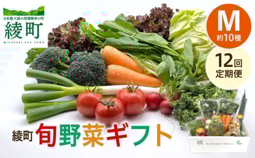 【12回定期便】綾町旬野菜ギフト〈 Mサイズ/約10種 〉2~3人分 産地直送 野菜セット 詰め合わせ 新鮮 有機栽培 旬 採れたて 野菜定期便 野菜 人参 トマト じゃがいも 玉ねぎ きゅうり さつまいも 芋 ねぎ 小松菜 大根 ほうれん草 キャベツ キノコ等 送料無料 【オーガニックのまち 宮崎県綾町】