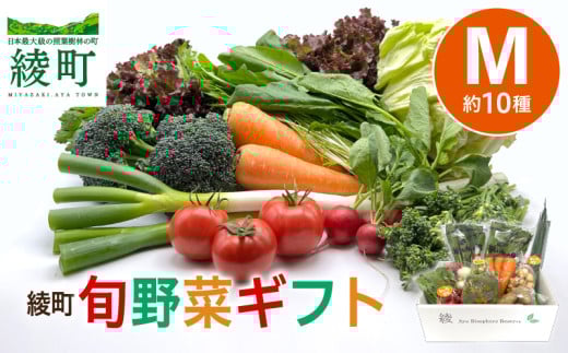 綾町旬野菜ギフト〈 Mサイズ/約10種 〉2~3人分 産地直送 野菜セット 詰め合わせ 新鮮 有機栽培 旬 採れたて 野菜 新鮮野菜 人参 トマト じゃがいも 玉ねぎ きゅうり さつまいも 芋 ねぎ 小松菜 大根 ほうれん草 キャベツ キノコ等 送料無料 【オーガニックのまち 宮崎県綾町】