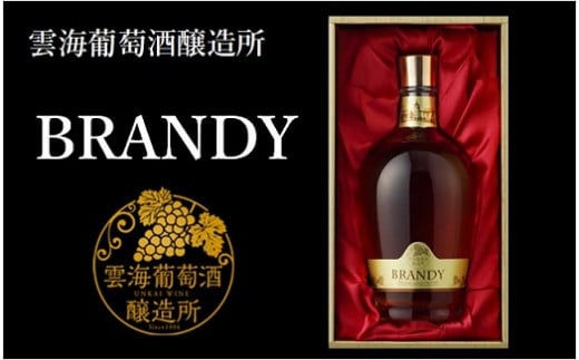 綾ブランデー 720ml 40度 国産 100% ブランデー 蒸留酒 洋酒 贈答 ギフト プレゼント 雲海 雲海葡萄酒醸造所