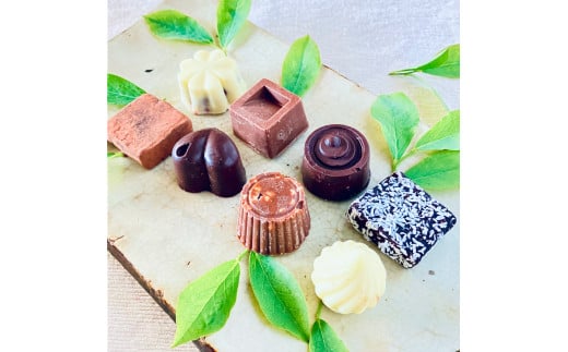 ホワイト&ミルク&ビター&生チョコ詰合わせ〈8個〉白砂糖不使用