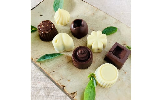 ミニホワイト&ビターチョコ詰合わせ<8個>白砂糖不使用