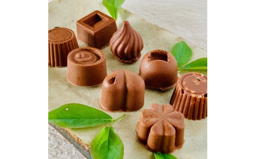 ミニミルクチョコ詰合わせ<8個>白砂糖不使用