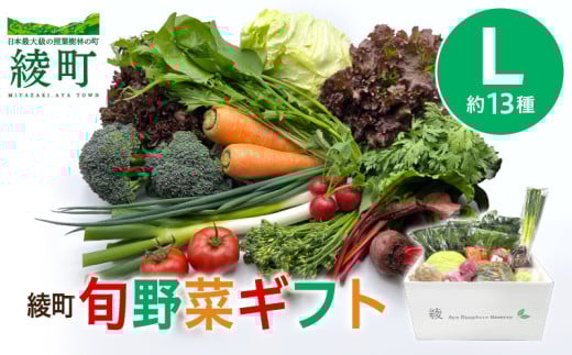 綾町旬野菜ギフト〈 Lサイズ/約13種 〉4人以上分 産地直送 野菜セット 詰め合わせ 新鮮 有機栽培 旬 採れたて 野菜 新鮮野菜 人参 トマト じゃがいも 玉ねぎ きゅうり さつまいも 芋 ねぎ 小松菜 大根 ほうれん草 キャベツ キノコ等 送料無料 【オーガニックのまち 宮崎県綾町】