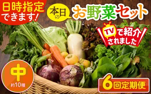 【6回定期便】日時指定OK!本日のお野菜セット 〈中サイズ/約10種〉 2~3人用 新鮮 産地直送 野菜詰め合わせ 有機栽培 野菜 果物 野菜セット 野菜定期便 送料無料 【オーガニックのまち 宮崎県綾町】