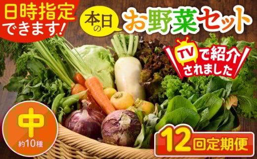 【12回定期便】日時指定OK!本日のお野菜セット 〈中サイズ/約10種〉 2~3人用 新鮮 産地直送 野菜詰め合わせ 有機栽培 野菜 果物 野菜セット 野菜定期便 送料無料 【オーガニックのまち 宮崎県綾町】