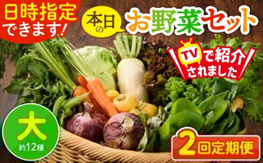 【2回定期便】日時指定OK!本日のお野菜セット 〈大サイズ/約12種〉 4人以上用 新鮮 産地直送 野菜詰め合わせ 有機栽培 野菜 果物 野菜セット 野菜定期便 送料無料 【オーガニックのまち 宮崎県綾町】