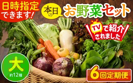 【6回定期便】日時指定OK!本日のお野菜セット 〈大サイズ/約12種〉 4人以上用  新鮮 産地直送 野菜詰め合わせ 有機栽培 野菜 果物 野菜セット 野菜定期便 送料無料 【オーガニックのまち 宮崎県綾町】