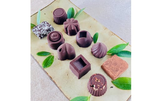ミニビター&生チョコ詰合わせ<10個>白砂糖不使用