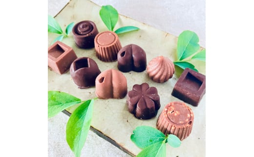 ミニミルク&ビターチョコ詰合わせ<10個>白砂糖不使用