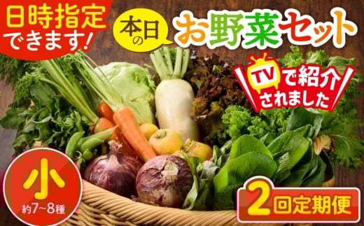 【2回定期便】日時指定OK!本日のお野菜セット 〈小サイズ/約7-8種〉1~2人用 新鮮 産地直送 野菜詰め合わせ 有機栽培 野菜 果物 野菜セット 野菜定期便 送料無料 【オーガニックのまち 宮崎県綾町】