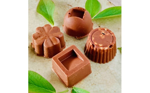 ミニミルクチョコ詰合わせ〈4個〉白砂糖不使用