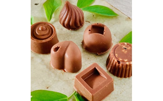 ミニミルクチョコ詰合わせ〈６個〉白砂糖不使用