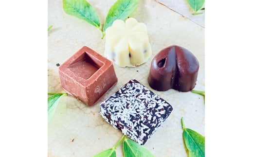 ホワイト＆ミルク＆ビター＆生チョコ詰合わせ〈４個〉白砂糖不使用