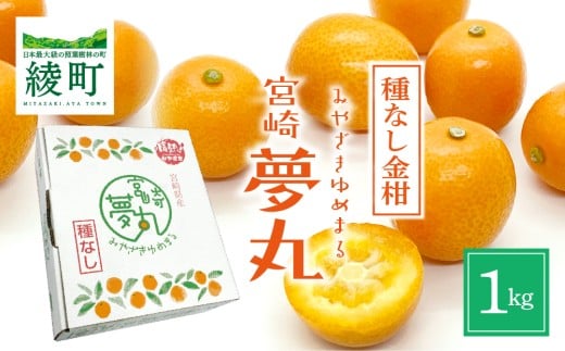 種なし きんかん「宮崎夢丸」 1kg 【完熟 金柑 フルーツ 果物 柑橘 希少 特産品 ギフト プレゼント お取り寄せ グルメ 国産 産地直送 送料無料 綾町】