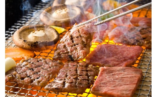 宮崎牛肩ロース・モモ焼肉セット〈計800g〉