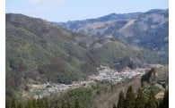 定住促進対策に関する事業