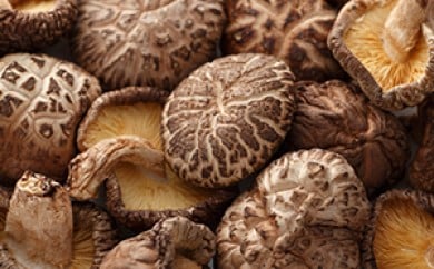 [№5738-0024]乾しいたけ　どんこ（200g）