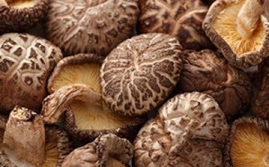 [№5738-0018]乾しいたけ　どんこ150g