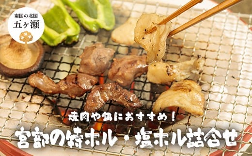 宮部の特ホル・塩ホル詰合せ | 肉 にく お肉 おにく 豚 豚肉 ぶた ホルモン 特ホル 塩ホル セット 宮崎県 五ヶ瀬町