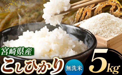 令和7年産 こしひかり 5kg (無洗米) 宮崎県産 | 米 こめ お米 おこめ 精米 白米 宮崎県 五ヶ瀬町