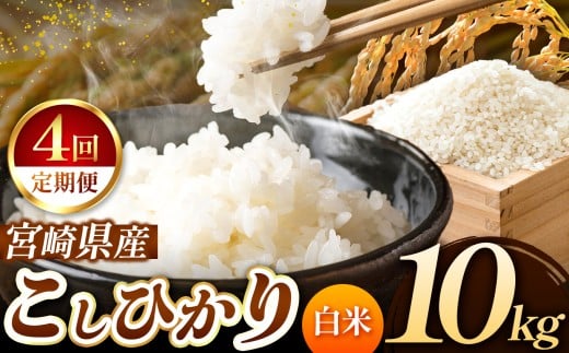 【 定期便4回 】令和7年産 こしひかり 10kg （ 白米 ） 宮崎県産 | 米 こめ お米 おこめ 精米 白米 宮崎県 五ヶ瀬町