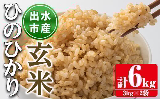 i504 鹿児島県出水市産ひのひかり玄米<3kg×2袋・計6kg>米 玄米 お米 6kg 国産 ひのひかり おにぎり ごはん 自家脱穀 お米マイスター 厳選 【田上商店】