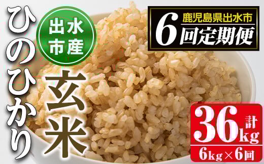 i542 <定期便・計6回(連続)>鹿児島県出水市産ひのひかり玄米<(3kg×2袋・計6kg)×全6回> 米 玄米 お米 6kg 計36kg 定期便 国産 ヒノヒカリ おにぎり 自家脱穀 ごはん お米マイスター 厳選 【田上商店】
