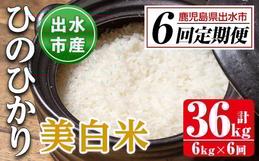 i543 <定期便・計6回(連続)>鹿児島県出水市産ひのひかり美白米<(3kg×2袋・計6kg)×全6回> 米 6kg 計36kg お米 白米 ヒノヒカリ 美白米 定期便 自家脱穀 自家精米 精米 おにぎり ごはん お米マイスター 厳選 【田上商店】