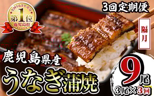 i854-B ＜定期便・計3回(隔月)＞鹿児島県産うなぎ蒲焼3尾セット＜(約140g×3・計約420g)×全3回＞ うなぎ 鰻 ウナギ 2尾 蒲焼き 国産 鹿児島県産 焼きたて 生産量日本一 真空パック おかず 晩御飯 特別な日 土用の丑の日【薩摩川内鰻】