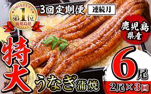 i1172-A ＜定期便・計3回(連続月)＞＼特大サイズ／鹿児島県産 うなぎ蒲焼 2尾セット＜（約220g×2・計約440g）×全3回＞ 定期便 たれ 山椒付きうなぎ 鰻 ウナギ 特大 特大サイズ 約220g 蒲焼き 国産 鹿児島県産 焼きたて 生産量日本一 真空パック おかず 晩御飯 特別な日 土用の丑の日 【薩摩川内鰻】