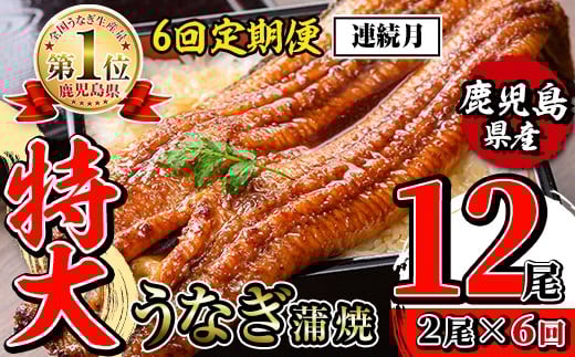i1173-A ＜定期便・計6回(連続月)＞＼特大サイズ／鹿児島県産 うなぎ蒲焼 2尾セット ＜（約220g×2・計約440g）×全6回＞ 定期便 たれ 山椒付きうなぎ 鰻 ウナギ 特大 特大サイズ 約220g 蒲焼き 国産 鹿児島県産 焼きたて 生産量日本一 真空パック おかず 晩御飯 特別な日 土用の丑の日 【薩摩川内鰻】