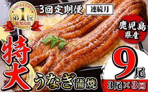 i1174-A ＜定期便・計3回(連続月)＞＼特大サイズ／鹿児島県産 うなぎ蒲焼 3尾セット＜（約220g×3・計約660g）×全3回＞ 定期便 たれ 山椒付きうなぎ 鰻 ウナギ 特大 特大サイズ 約220g 蒲焼き 国産 鹿児島県産 焼きたて 生産量日本一 真空パック おかず 晩御飯 特別な日 土用の丑の日 【薩摩川内鰻】