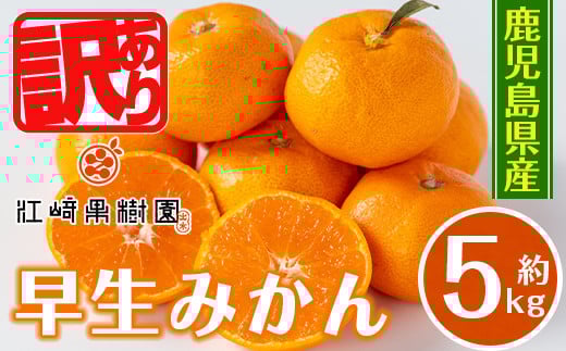 i1069-B <先行予約受付中!2025年12月の間に発送予定> <数量・期間限定>《傷ありのため訳あり》鹿児島みかん 早生系 (約5kg) みかん 蜜柑 ミカン 柑橘 早生 果物 フルーツ 果実 国産 鹿児島 訳あり 数量限定 期間限定 【江崎果樹園】