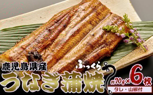 鹿児島県産 うなぎ蒲焼 約70g×6枚【タレ・山椒付】