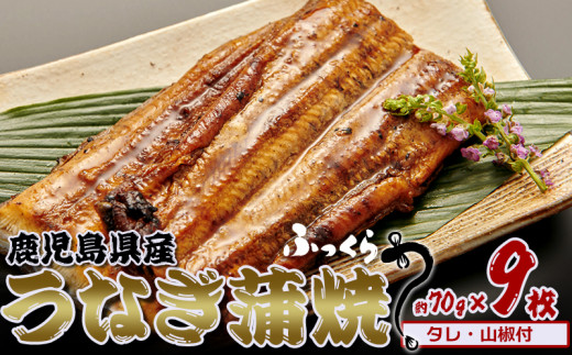 鹿児島県産 うなぎ蒲焼 約70g×9枚【タレ・山椒付】