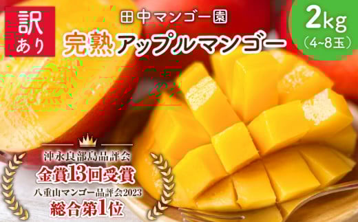 【2026年先行予約】訳あり 田中マンゴー園 完熟アップルマンゴー約2kg(4~8玉)(ご家庭用) W001-008u