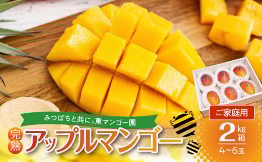 【2026年先行予約】≪ご家庭用≫東マンゴー園直送!完熟アップルマンゴー 2kg(4~6玉) W014-010u